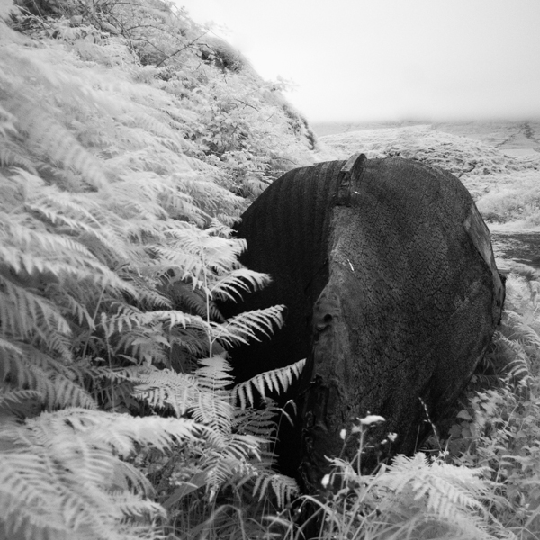 Final Image taken on a quick trip to Brandon creek, again an IR image converted to B&W. 