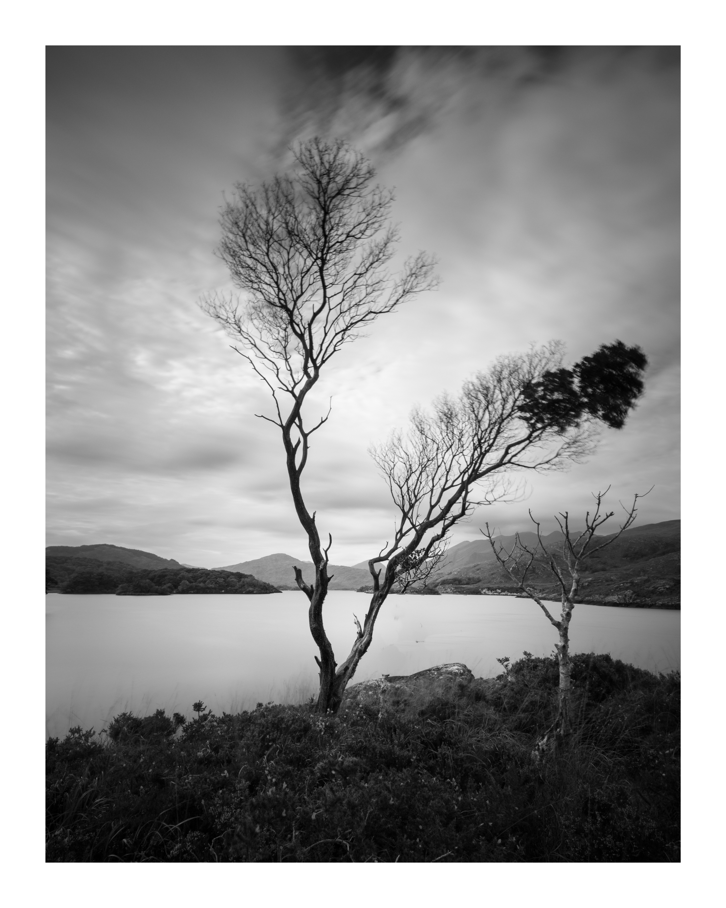 F11, 50 sec , ISO100, didnt see any movement in the tree so taught I'd get away with a long exposure , but some movement shown unfortunately. 