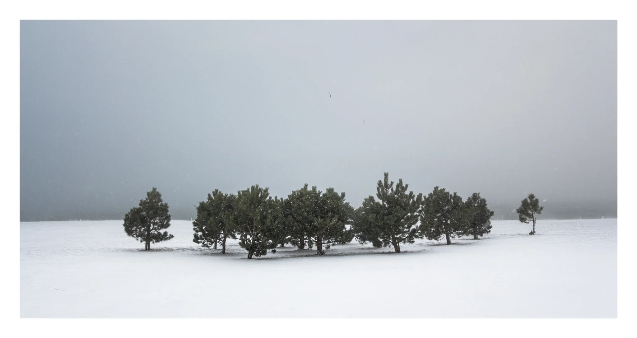 Snow day 4-2.jpg