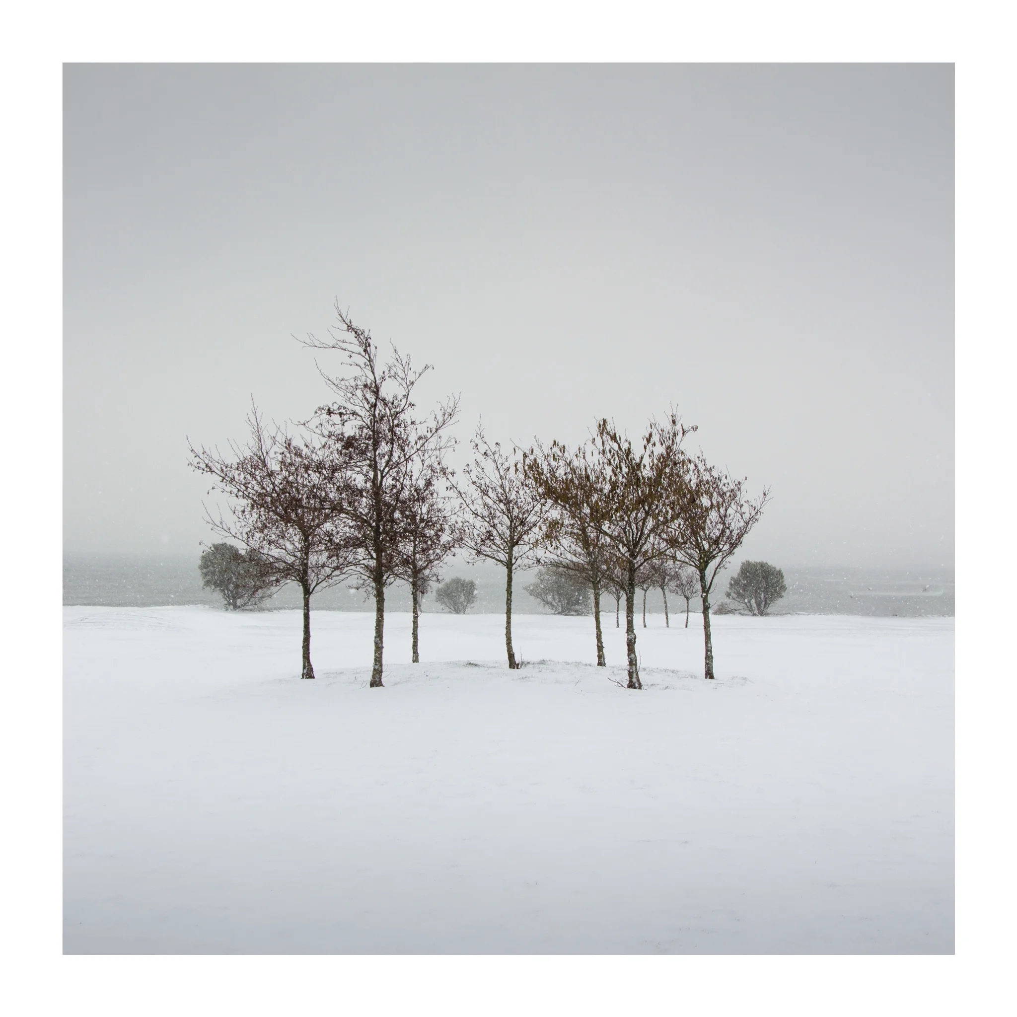 Snow day 8-2.jpg