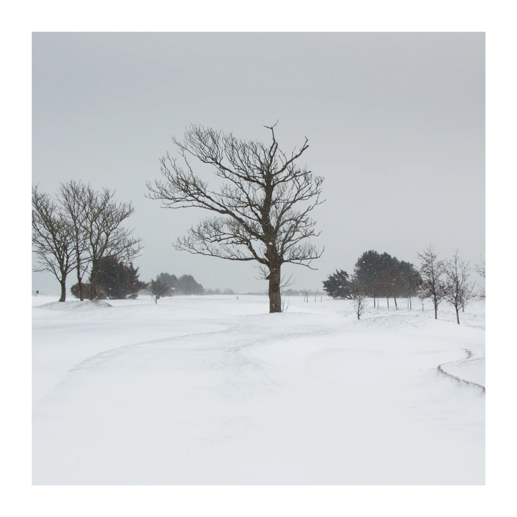 Snow day 10-2.jpg