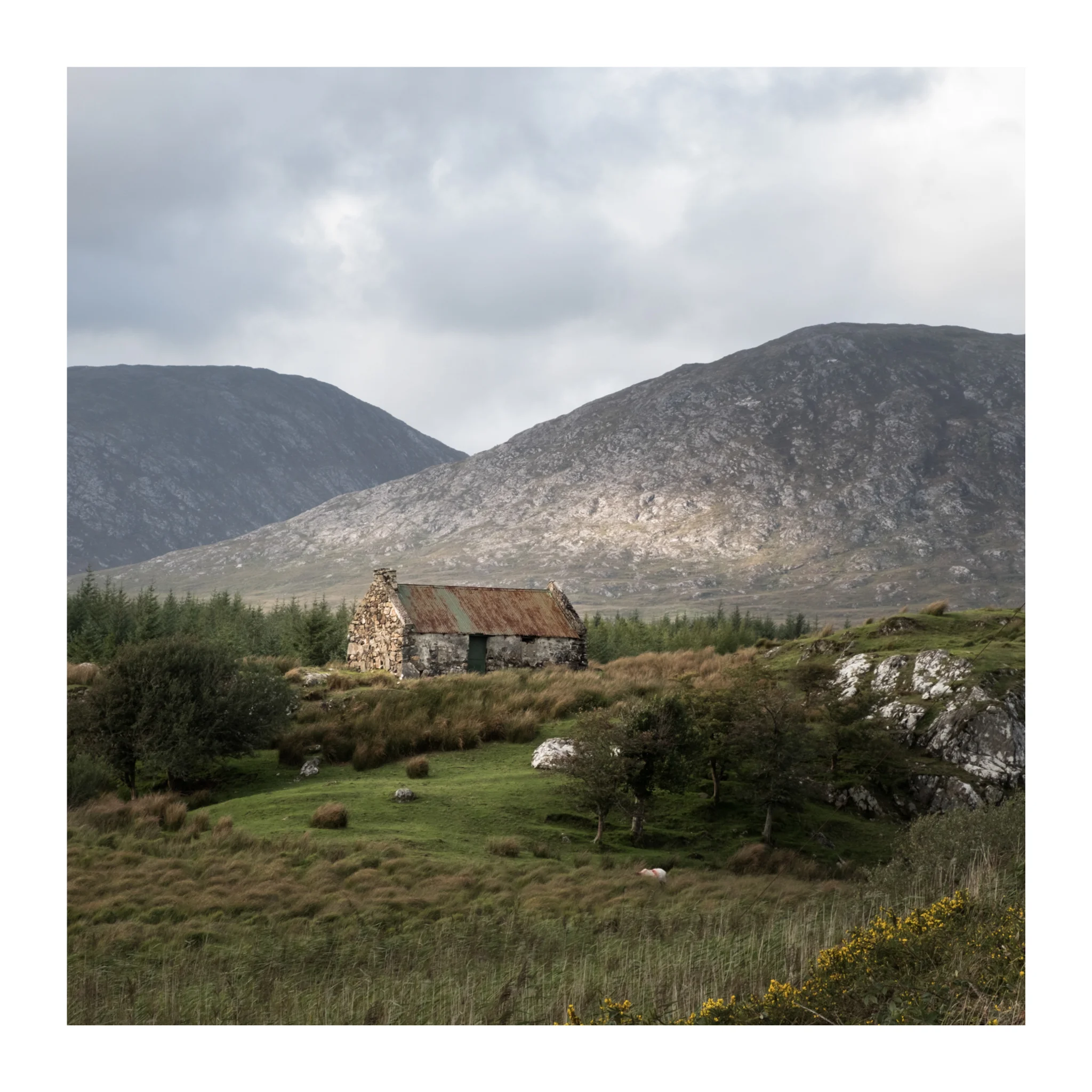 A short burst of light made it worth while to stop at the side of the road and get this image, handheld , again on the road to Screebe in Connemara