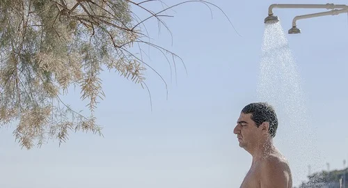 pity-2018.jpg