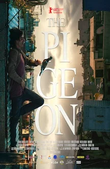 the-pigeon-review.jpg
