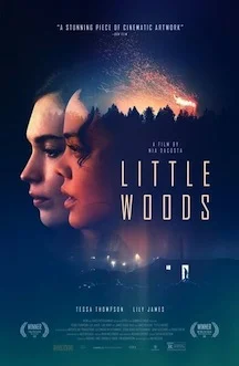 little-woods-movie-review.jpg
