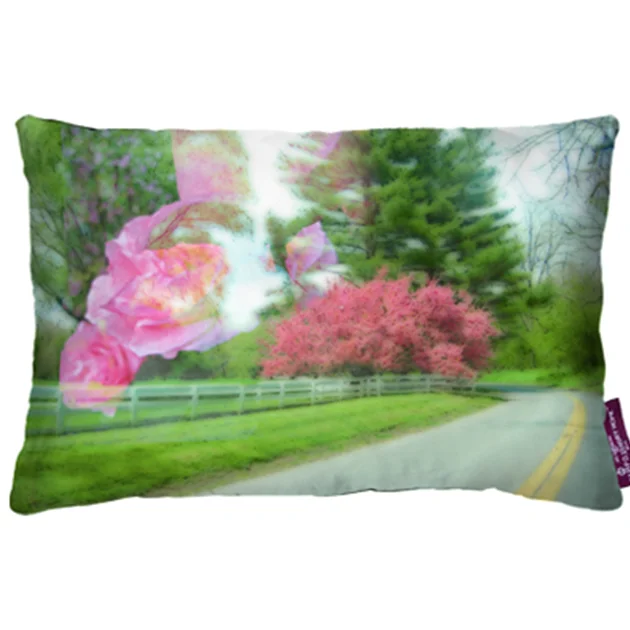DayTripperPillow18x12.jpg