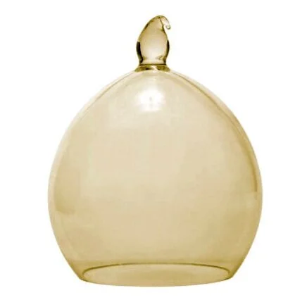 113016_Belle_Du_Jaar_Snow_Amber.jpg