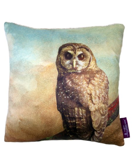 40002008 Wisdom Pillow.jpg