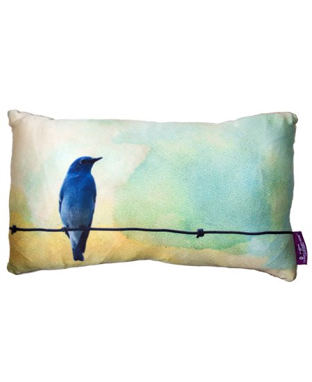 40002001 Borrowed Feathers Pillow.jpg