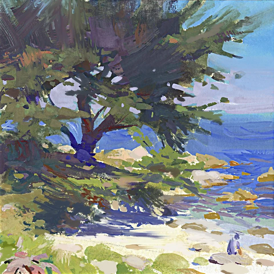 Cypress Shade.
