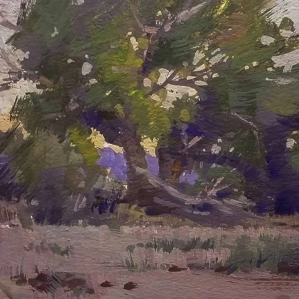 Shadowed Oaks.