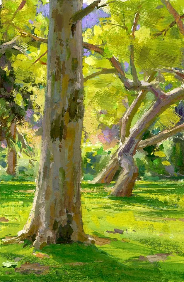 Spring Illuminated.
