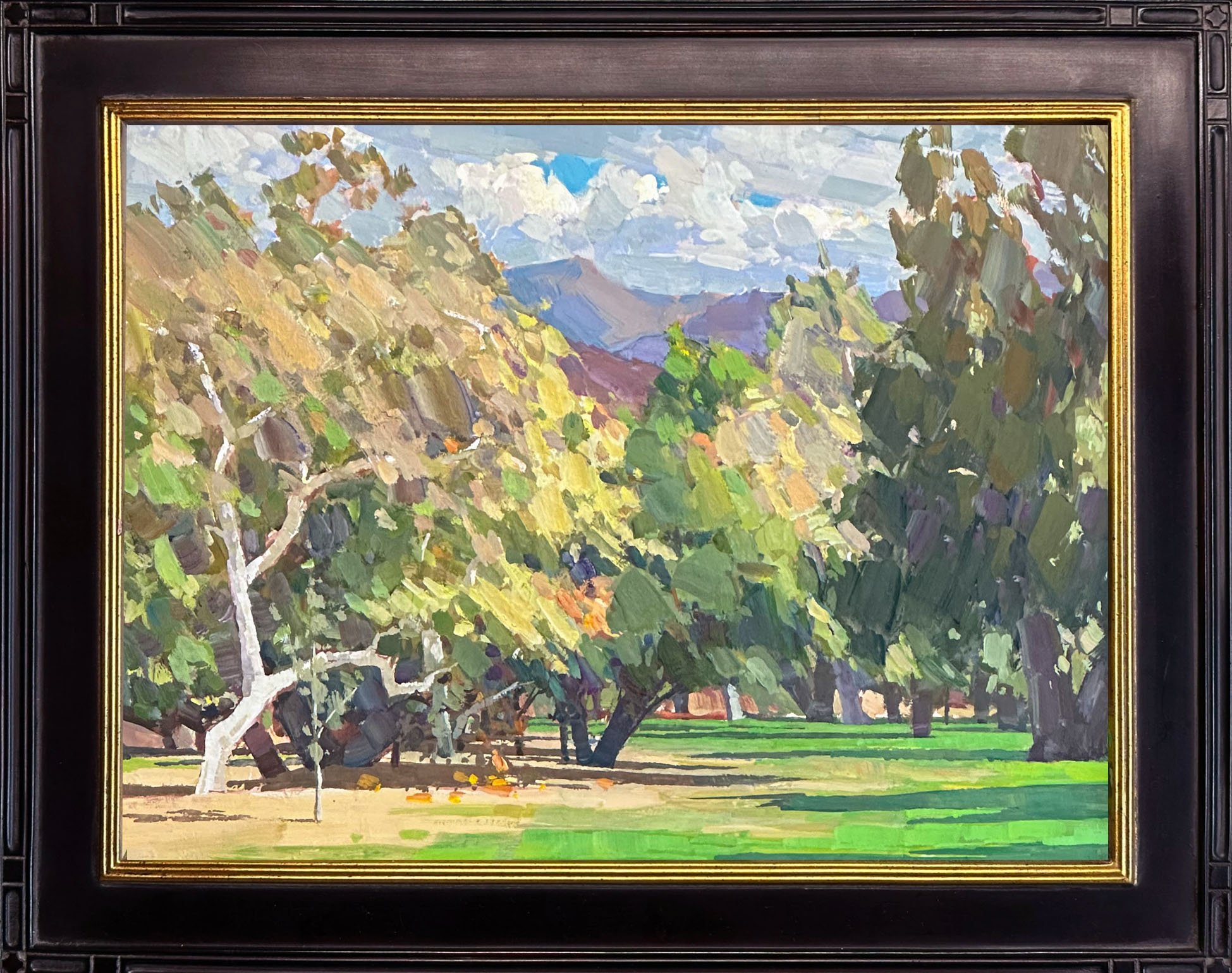 Irvine Regional Park