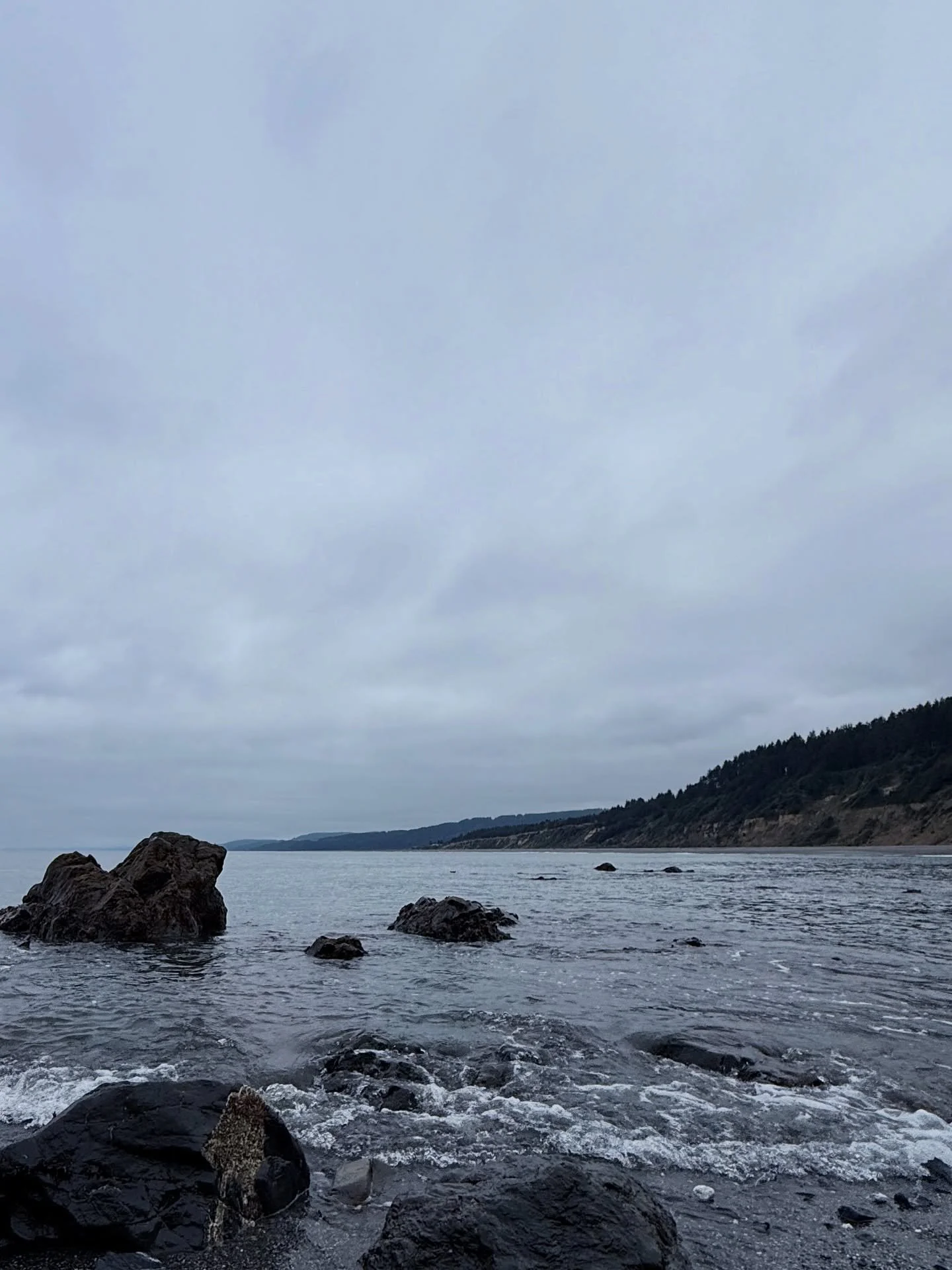 The one and only Agate Beach

#ferncanyon 
#suemegstatepark
#patrickspoint
#trinidad
#agatebeach
#northerncaliforniacoast
#redwoodnationalandstateparks
#photography
#collage
#chosenfamily
#thingsthathappenedinaugust