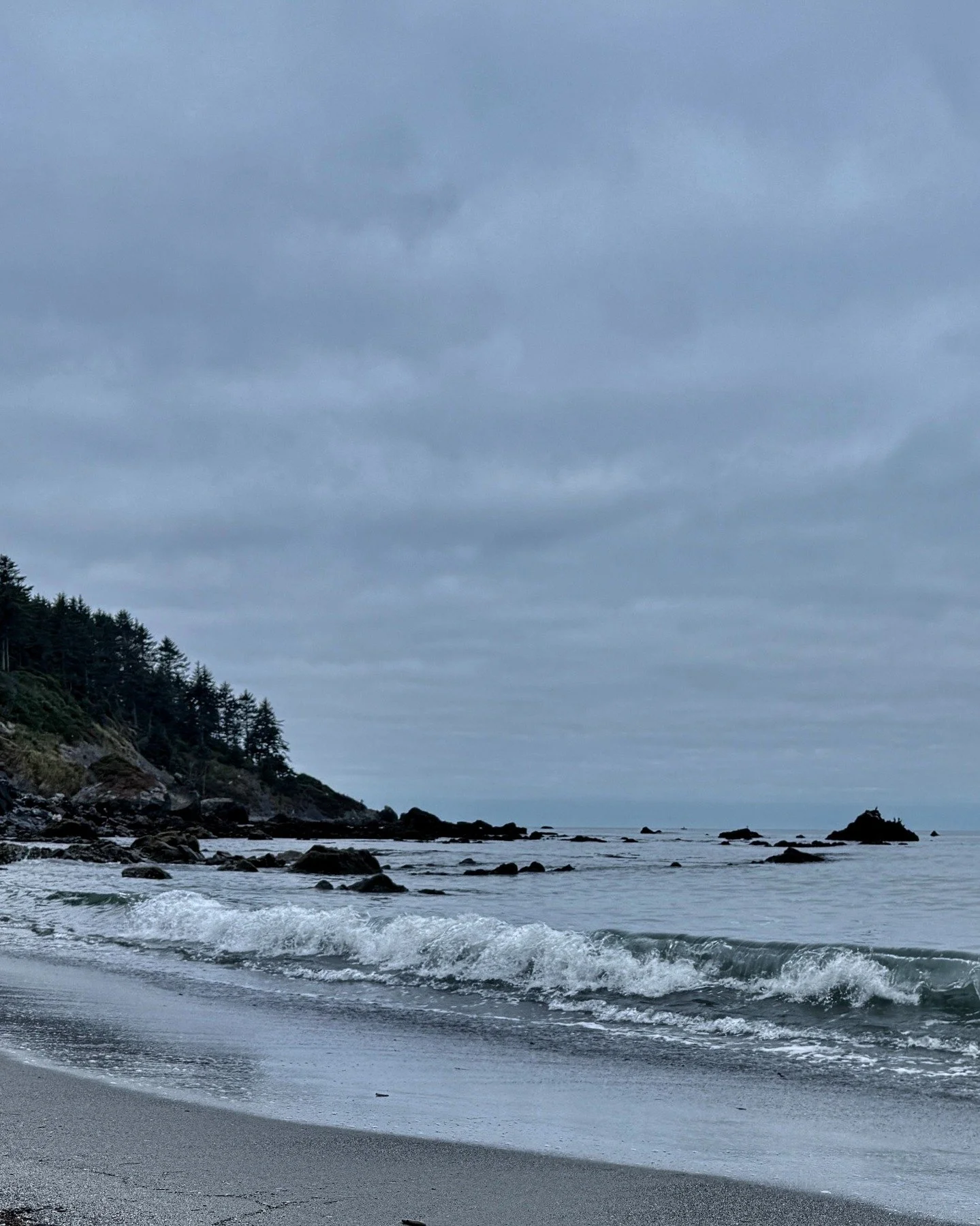I found some sticks, a few agates, a feather, your slides, and a dead whale.

#ferncanyon
#suemegstatepark
#patrickspoint
#trinidad
#agatebeach
#northerncaliforniacoast
#redwoodnationalandstateparks
#photography
#collage
#chosenfamily
#thingsthathapp