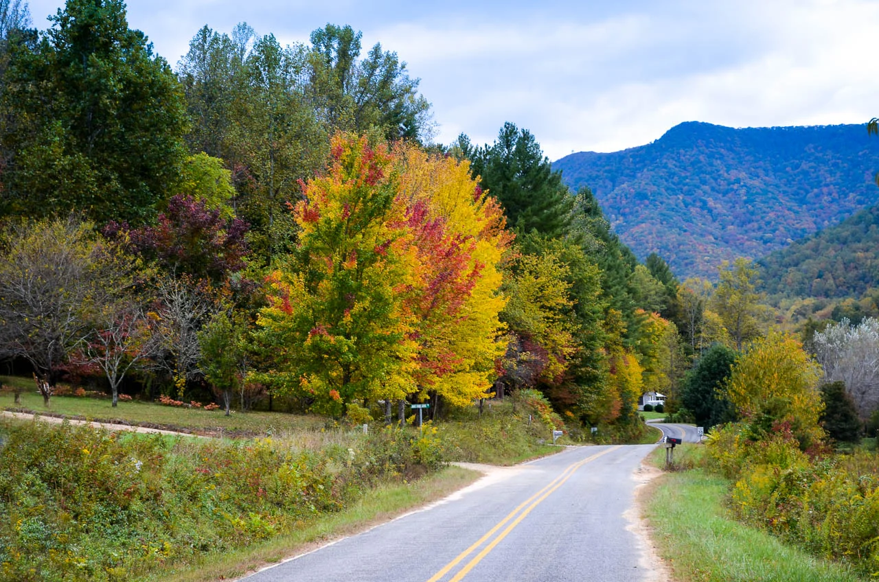 Fall Colors in Franlin-Edit.jpg