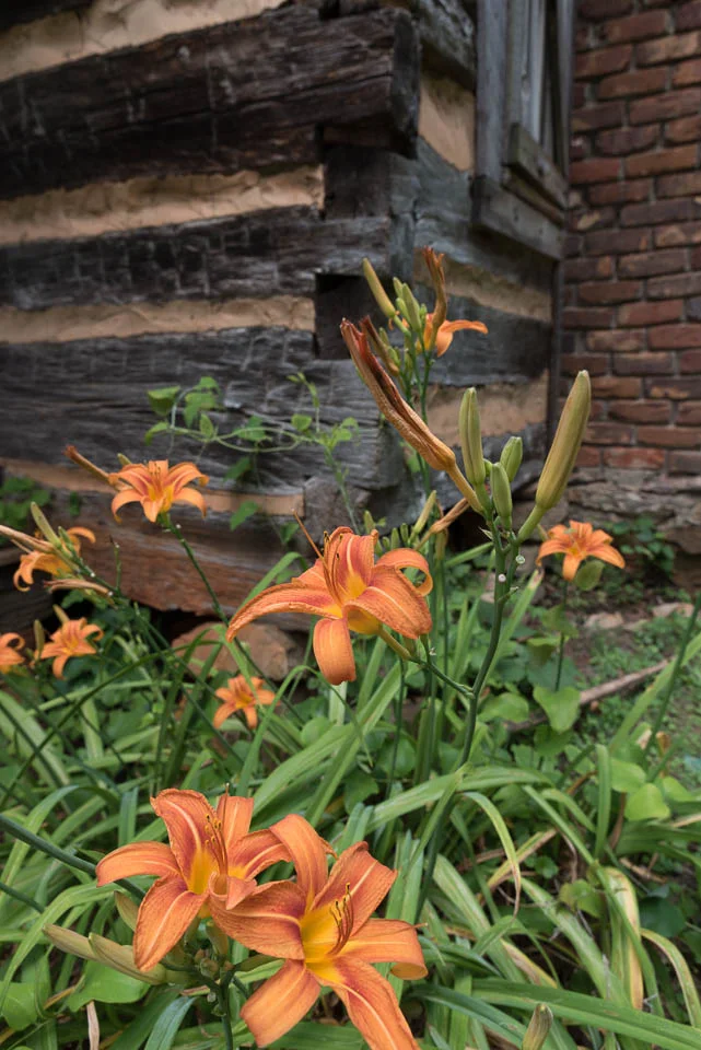 Gregory Creek Garden-5.jpg