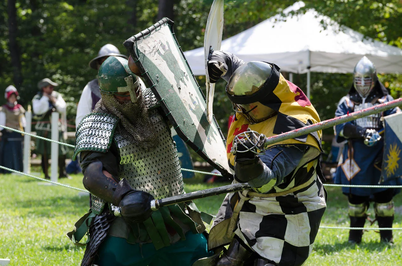 Baronial BirthDay 2014-0038.jpg