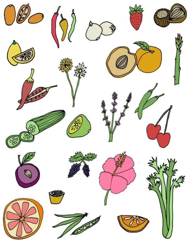 Commissioned illustrations for a cocktail recipe book