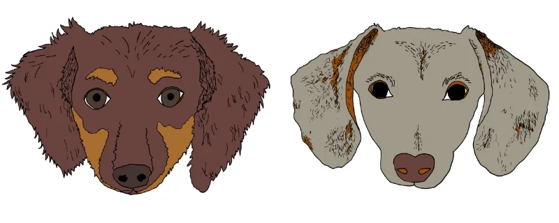 custom dog portraits 2.jpg