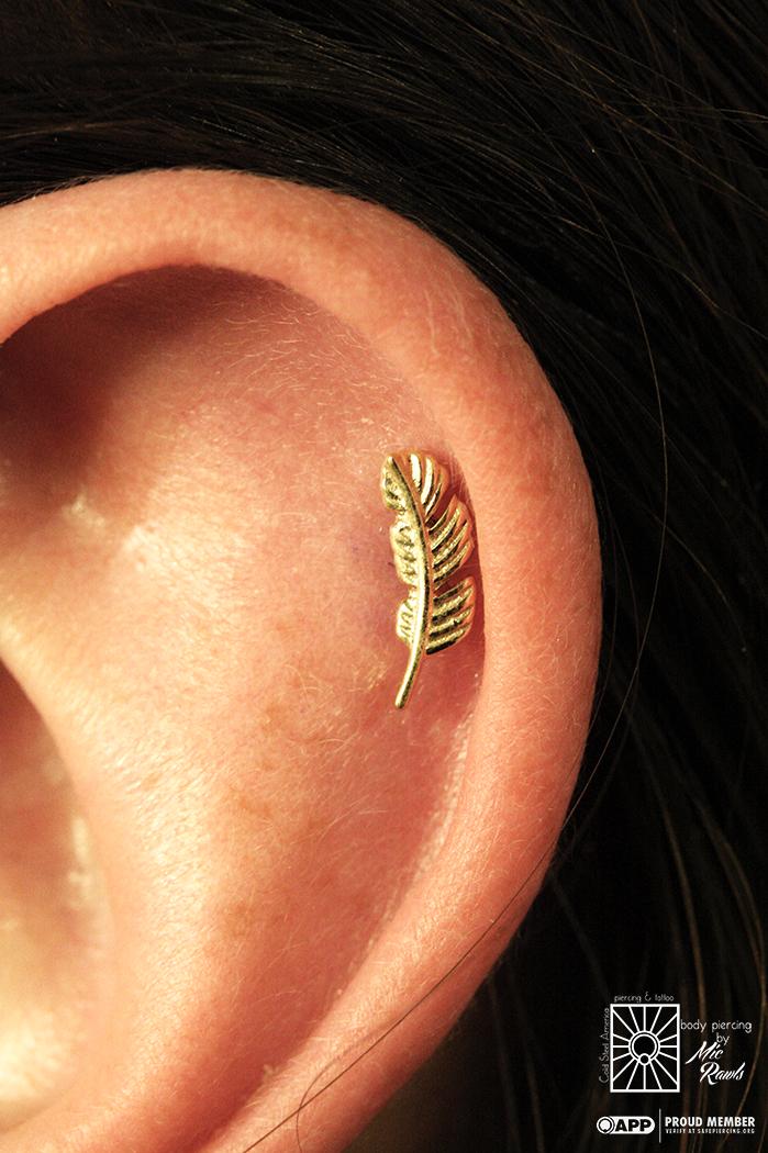 Fresh helix piercing Mic did the other day with one of the always popular Yellow Gold feather ends from Body Vision Los Angeles. So cute!