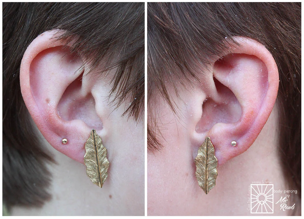 Fresh paired earlobes wearing 18g (1mm) implant-grade titanium push-pin barbells with 3mm solid 14 karat Yellow Gold balls from NeoMetal.