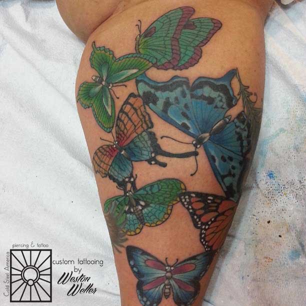 weston-butterflies-w.jpg