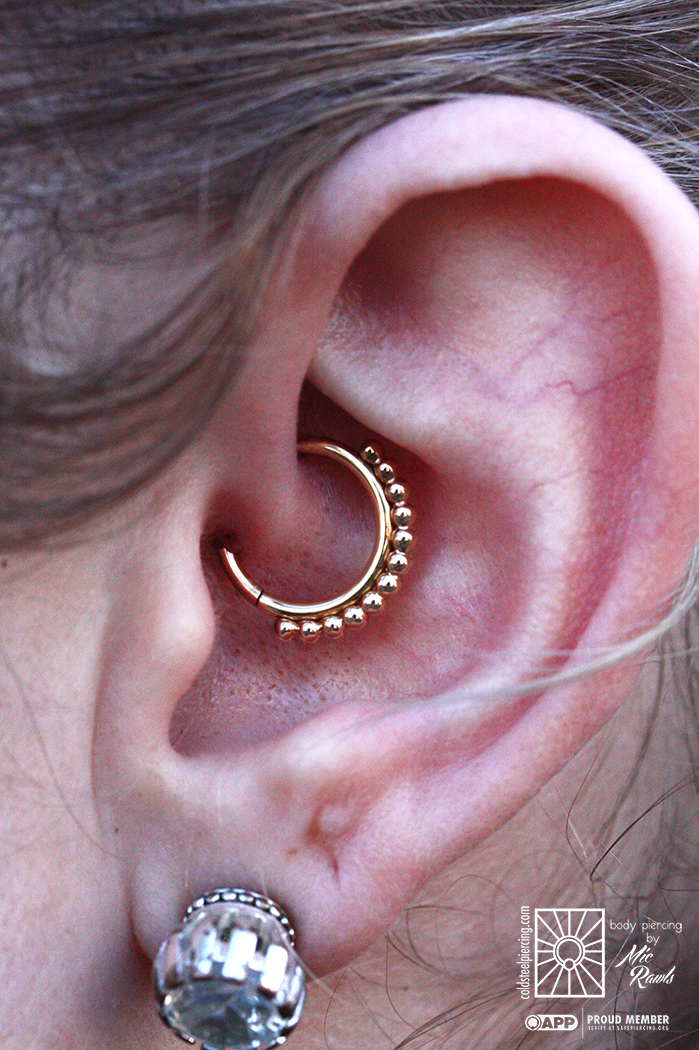 Fresh daith piercing sporting a gorgeous 18k Yellow Gold “Vaughn” continuous ring from Anatometal! These pieces look so fantastic in just about any piercing, and daiths especially, such a beauty.