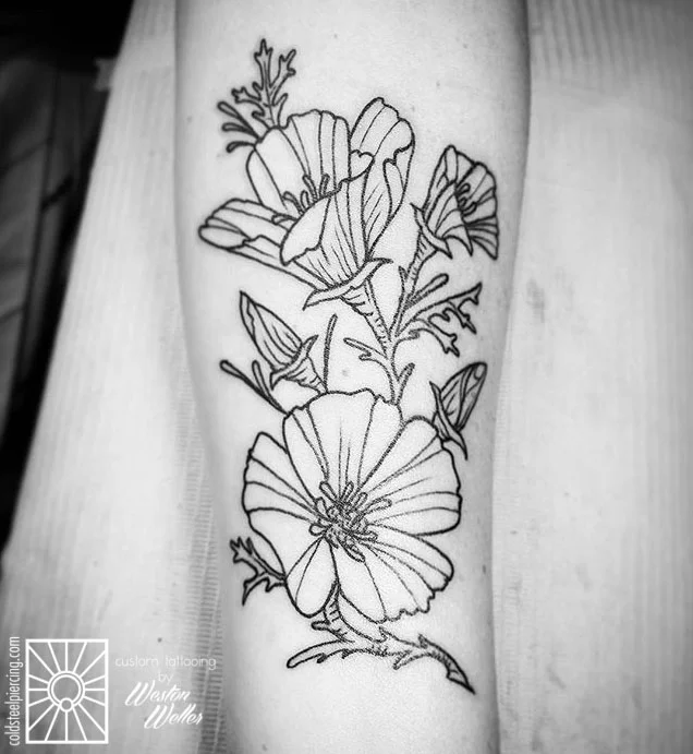 weston-poppies 1.jpg