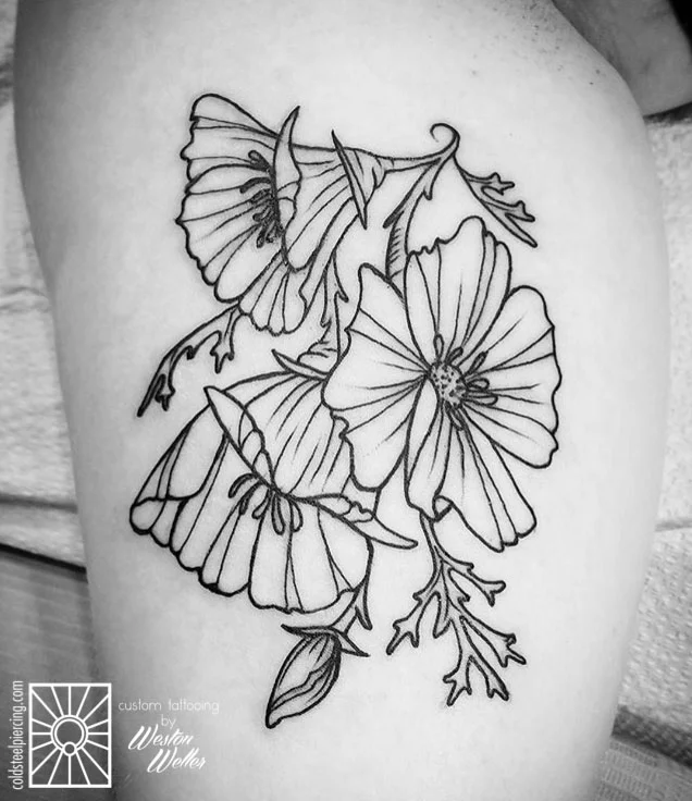 weston-poppies 2.jpg