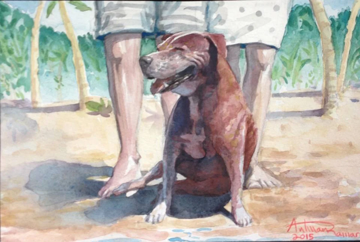 Good Boy