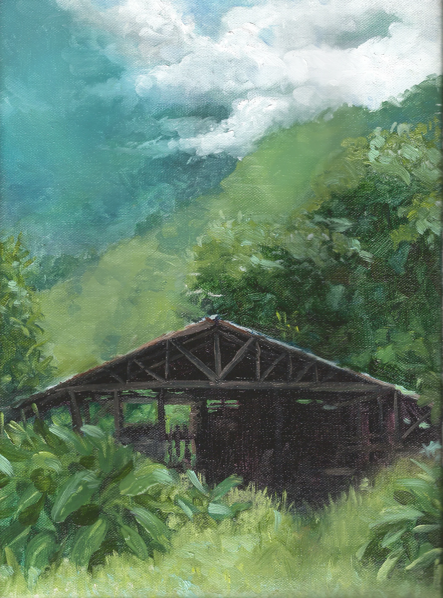 mountainbarn1.jpeg
