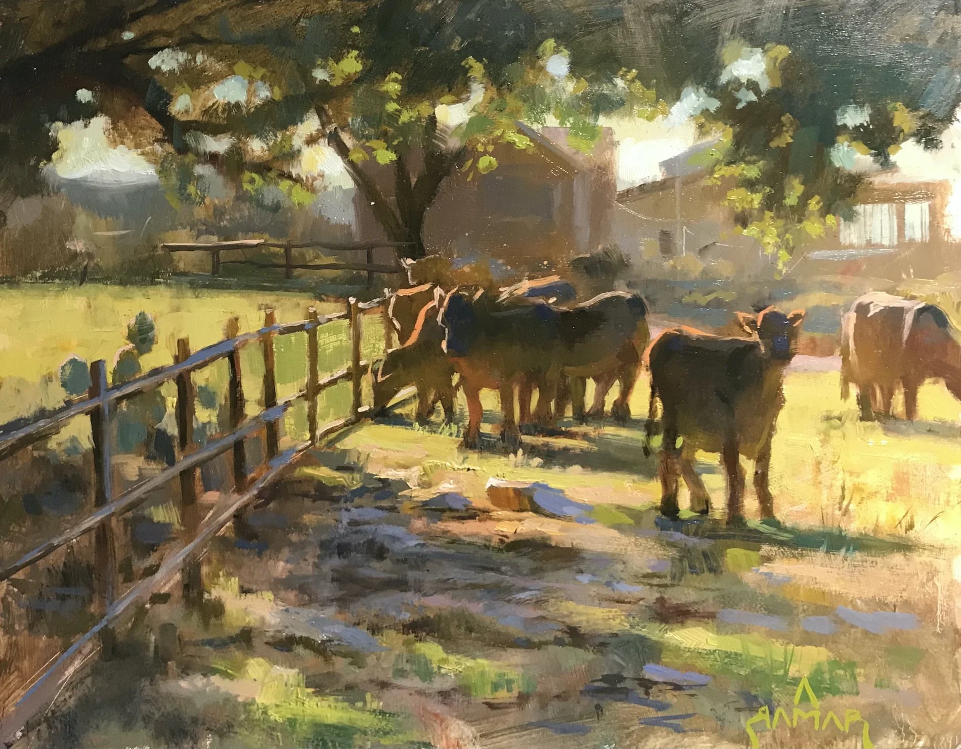 Cows.jpeg