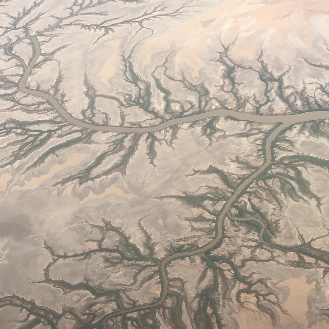 What is the ancestry of your voice? Flying over this exquisite country of terrestrial metaphors to ask some of Australia&rsquo;s top women leaders - &ldquo;Who in the branches of your heritage has shaped your voice.&rdquo; #womenleaders #inspiration 