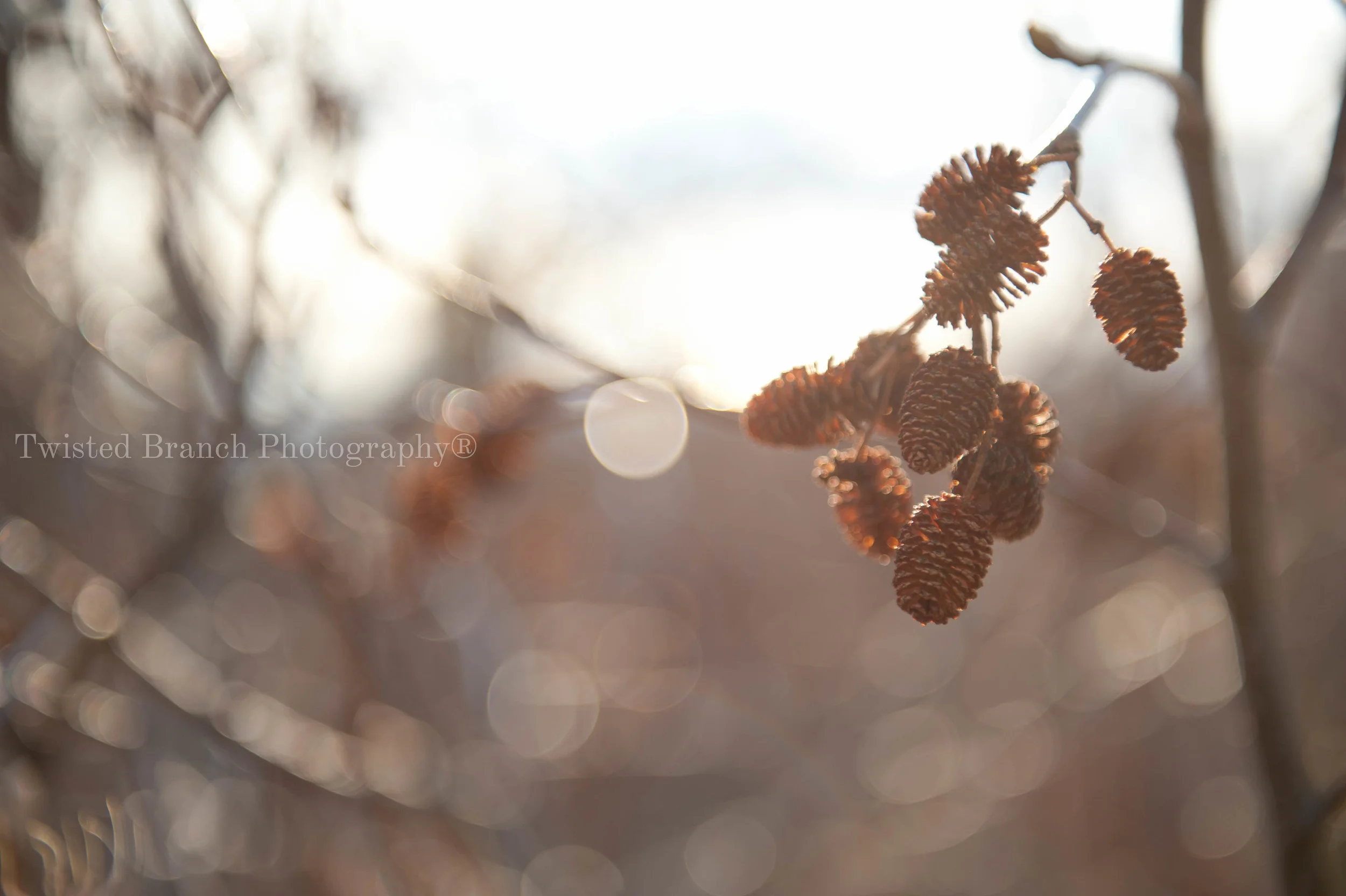 7_TBP-DSC_3010.jpg