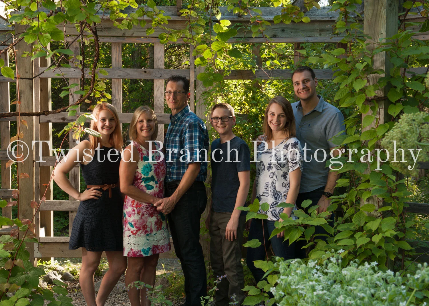 3_Twisted_Branch_Photography_DSC_4253.jpg