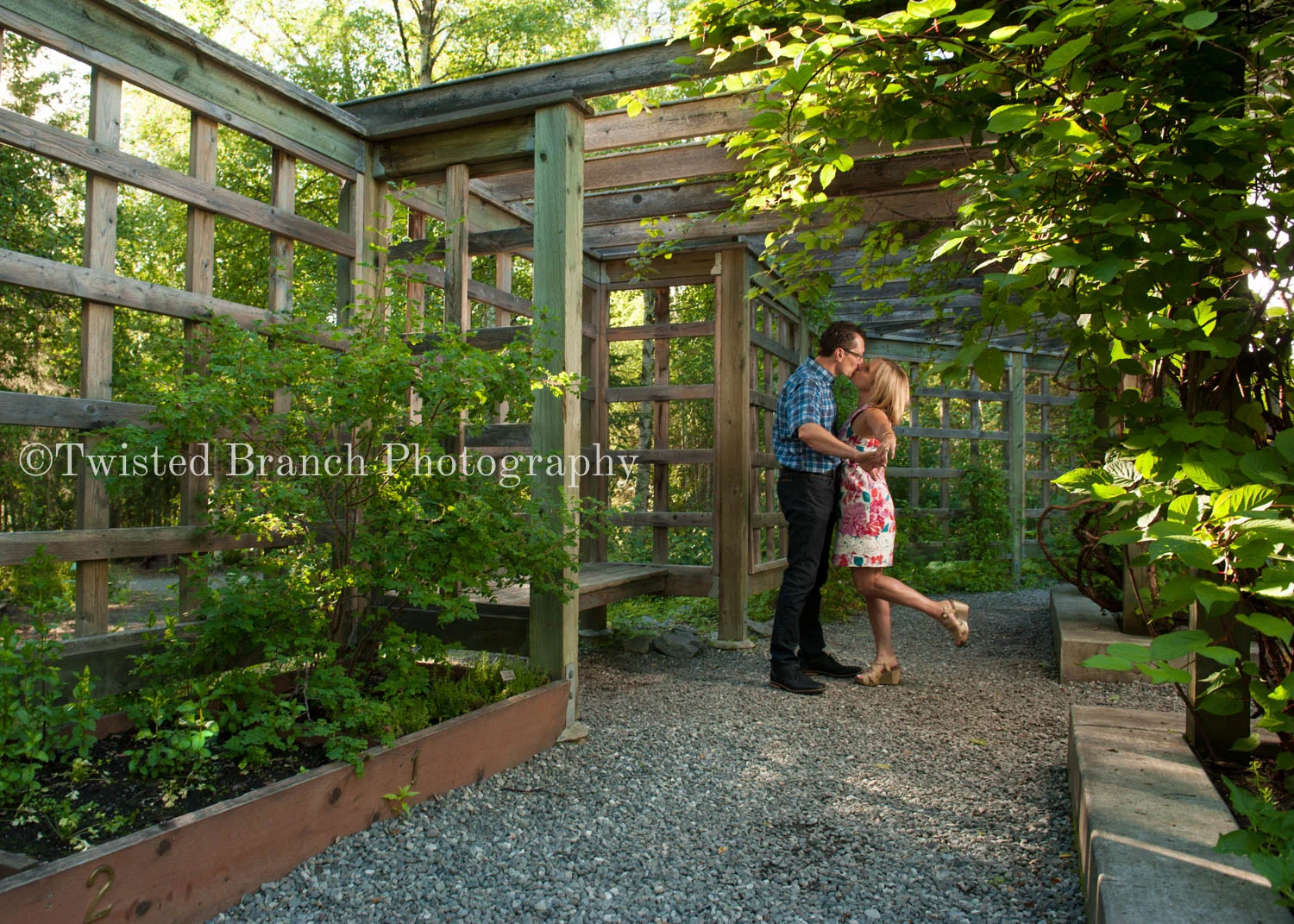 5_Twisted_Branch_Photography_DSC_4372.jpg