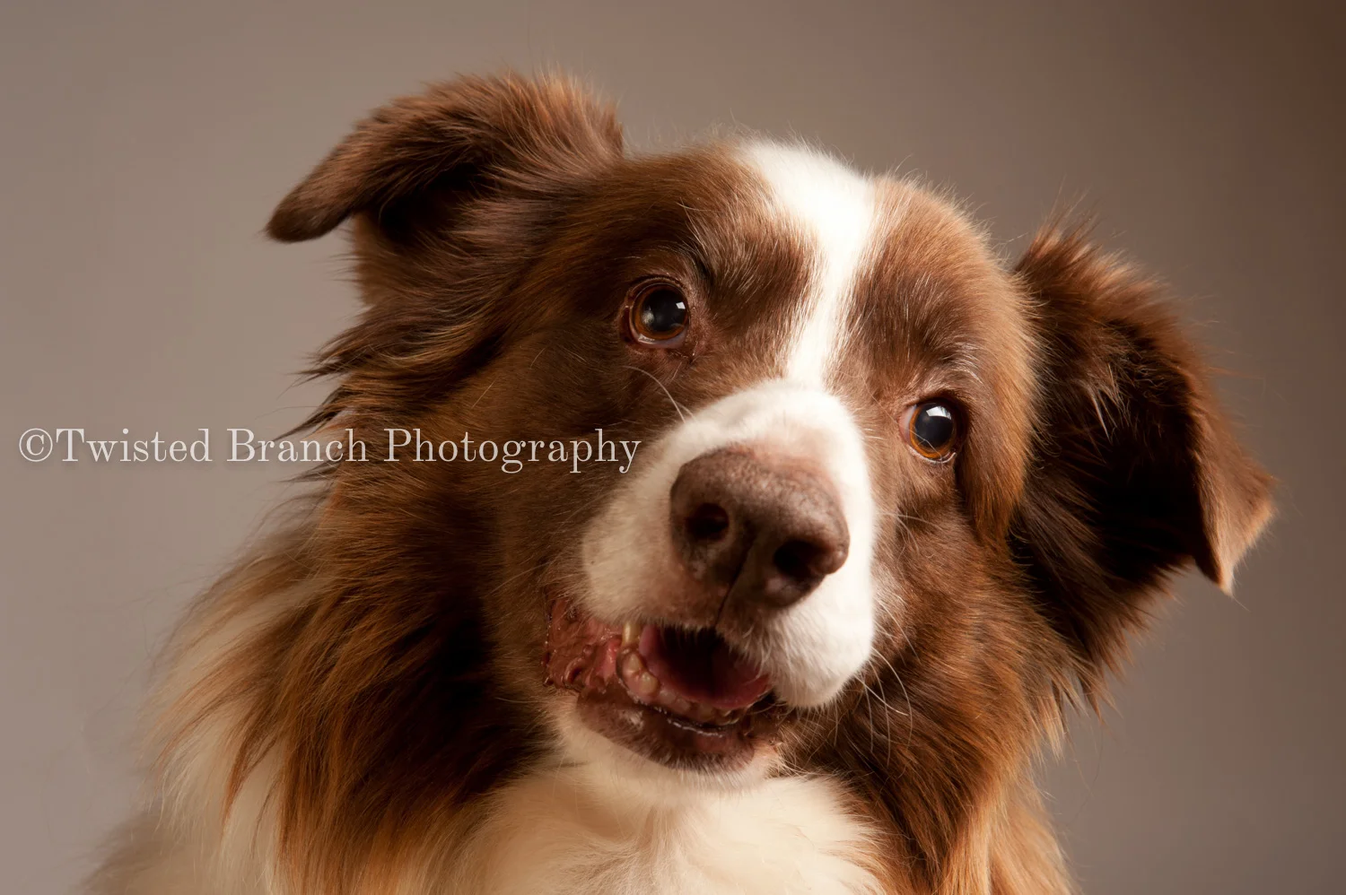 38_Twisted_Branch_Photography_DSC_3003.jpg