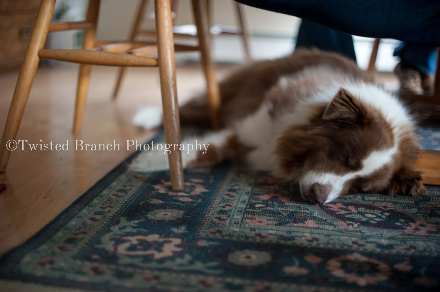 40_Twisted_Branch_Photography_DSC_5555.jpg