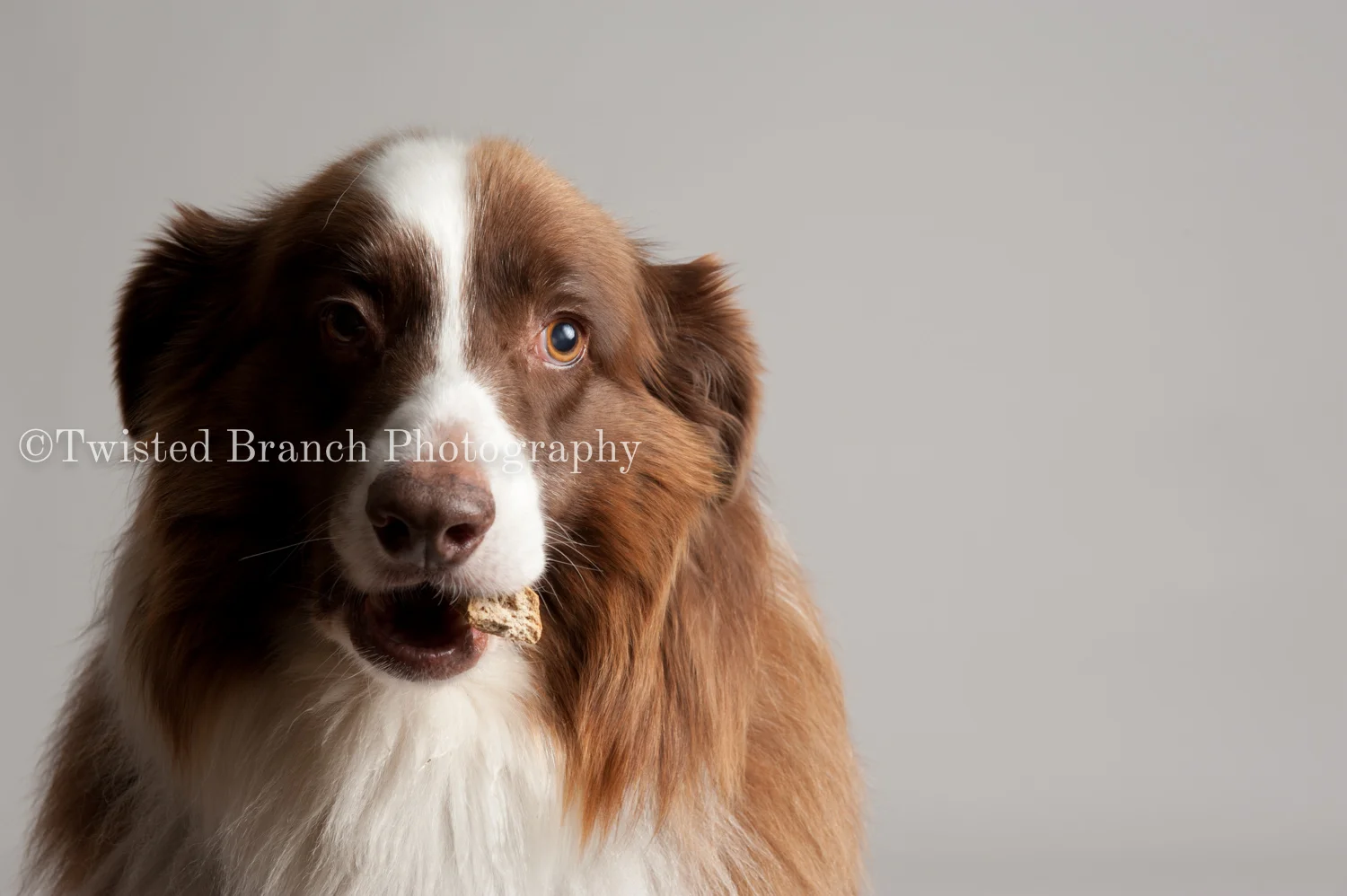 42_Twisted_Branch_Photography_DSC_1846.jpg