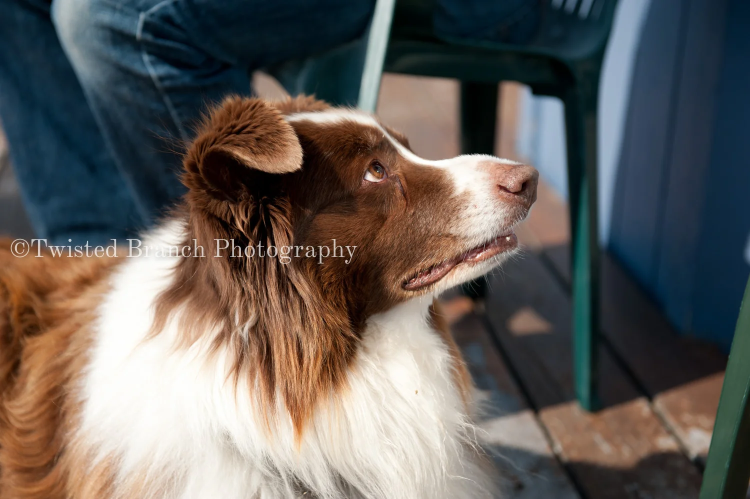 43_Twisted_Branch_Photography_DSC_2834.jpg