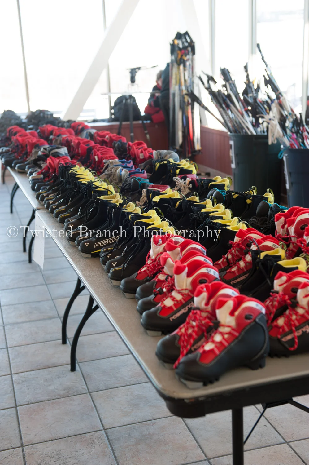 7_Twisted_Branch_Photography_DSC_8270.jpg