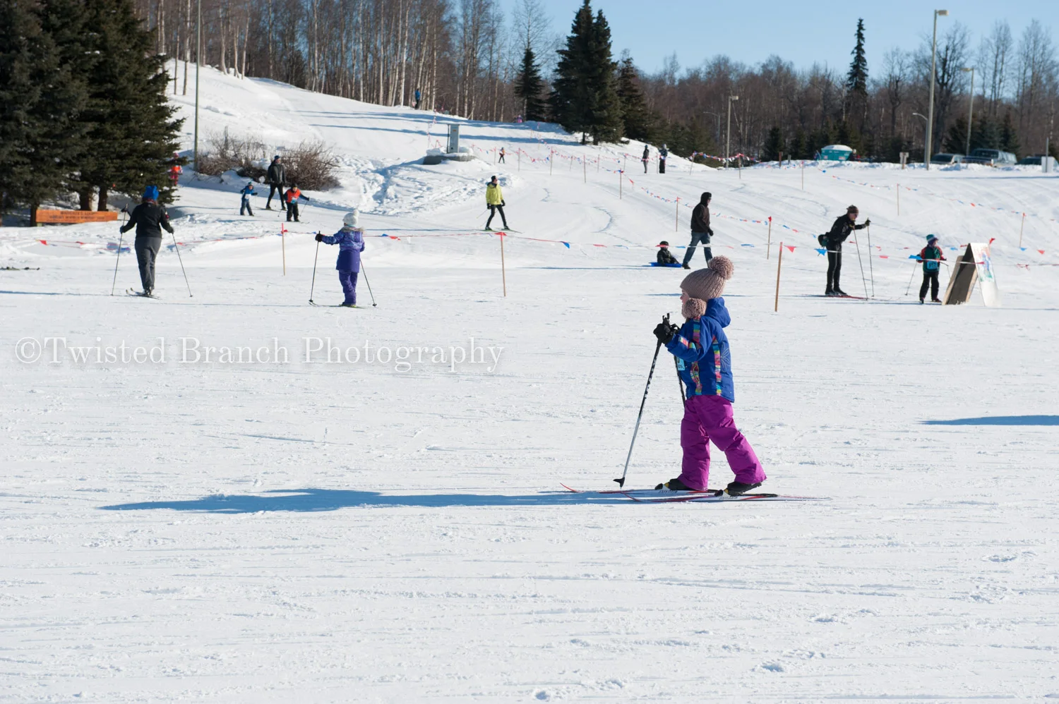 61_Twisted_Branch_Photography_DSC_8776.jpg