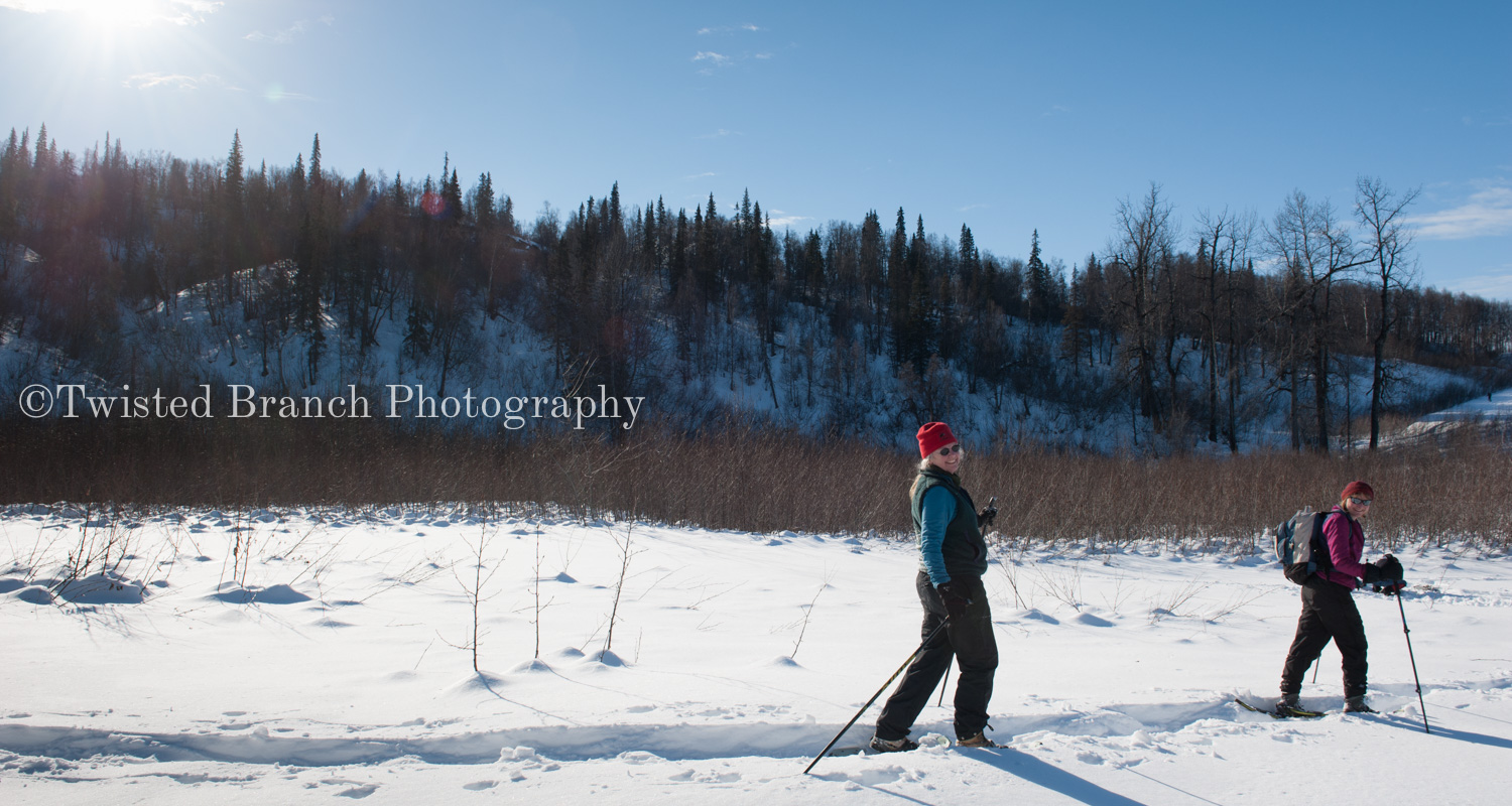 45_Twisted_Branch_Photography_DSC_9680.jpg