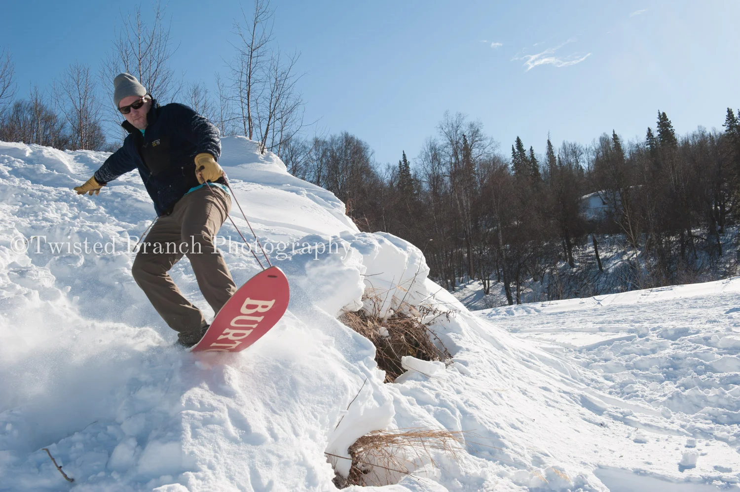 52_Twisted_Branch_Photography_DSC_9721.jpg