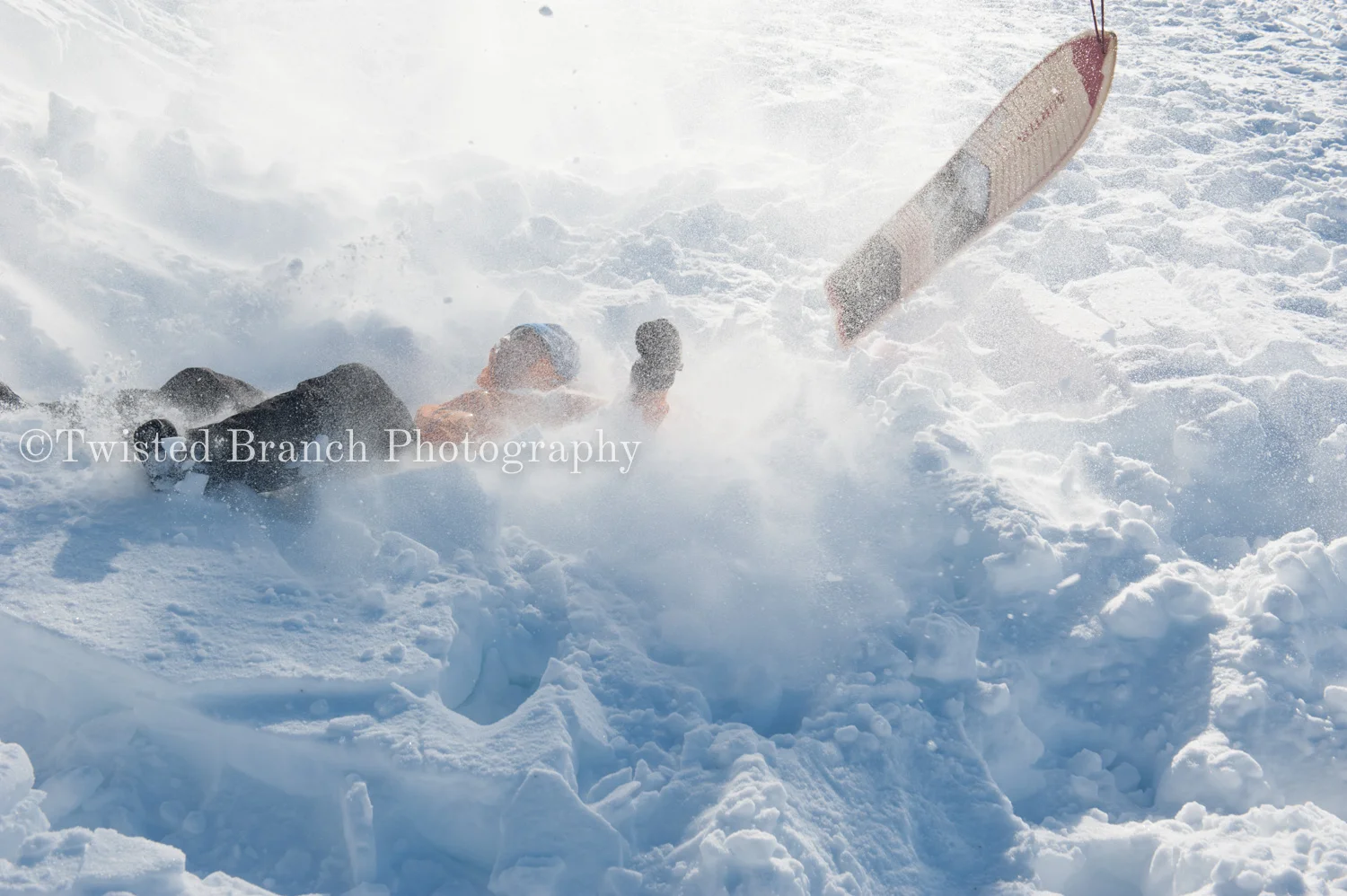 53_Twisted_Branch_Photography_DSC_9736.jpg