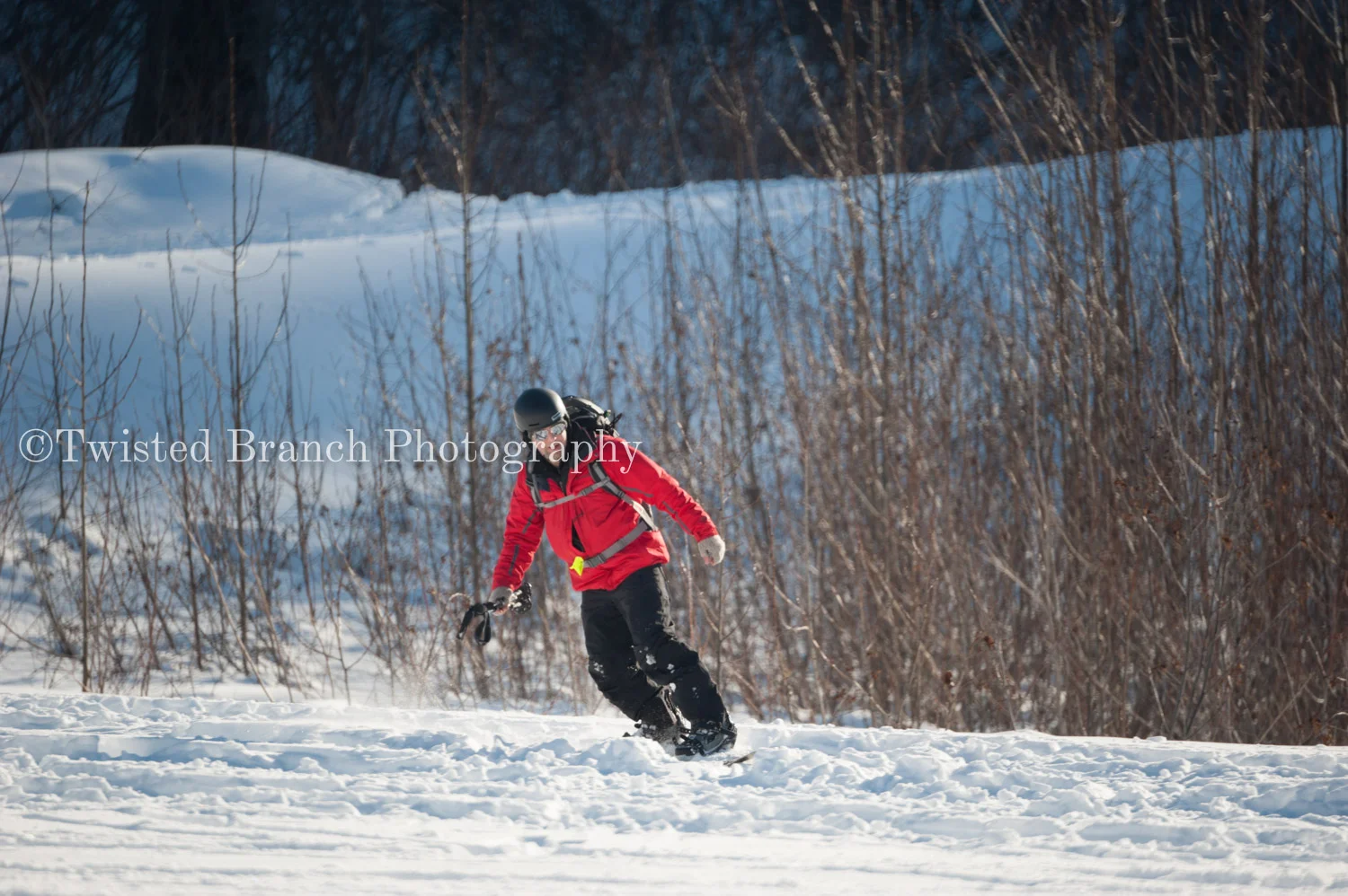 61_Twisted_Branch_Photography_DSC_9792.jpg