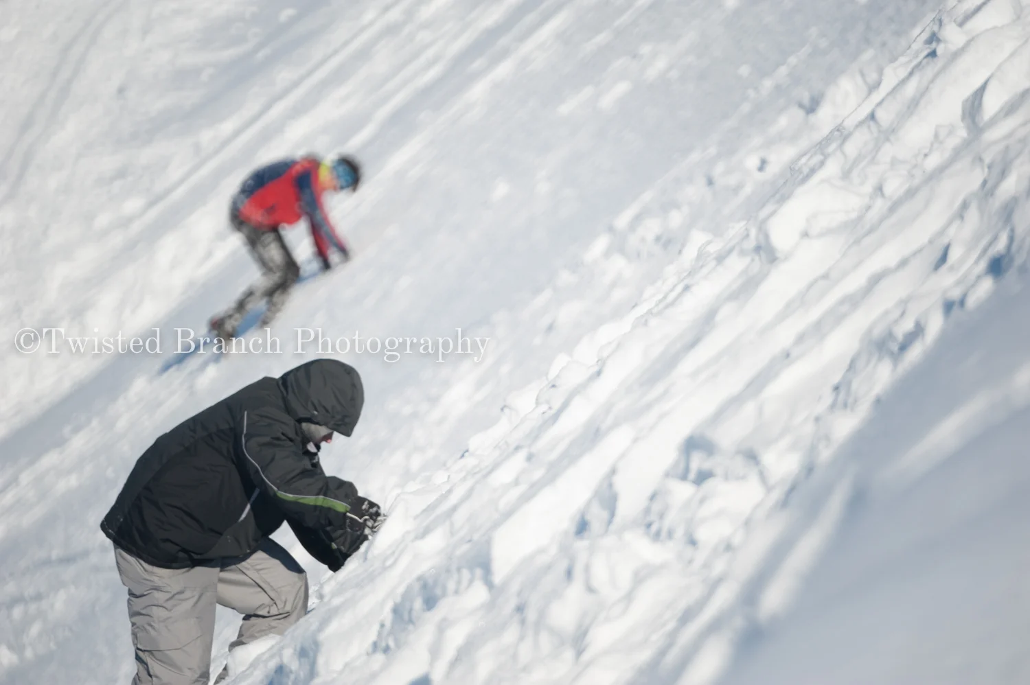 70_Twisted_Branch_Photography_DSC_9895.jpg