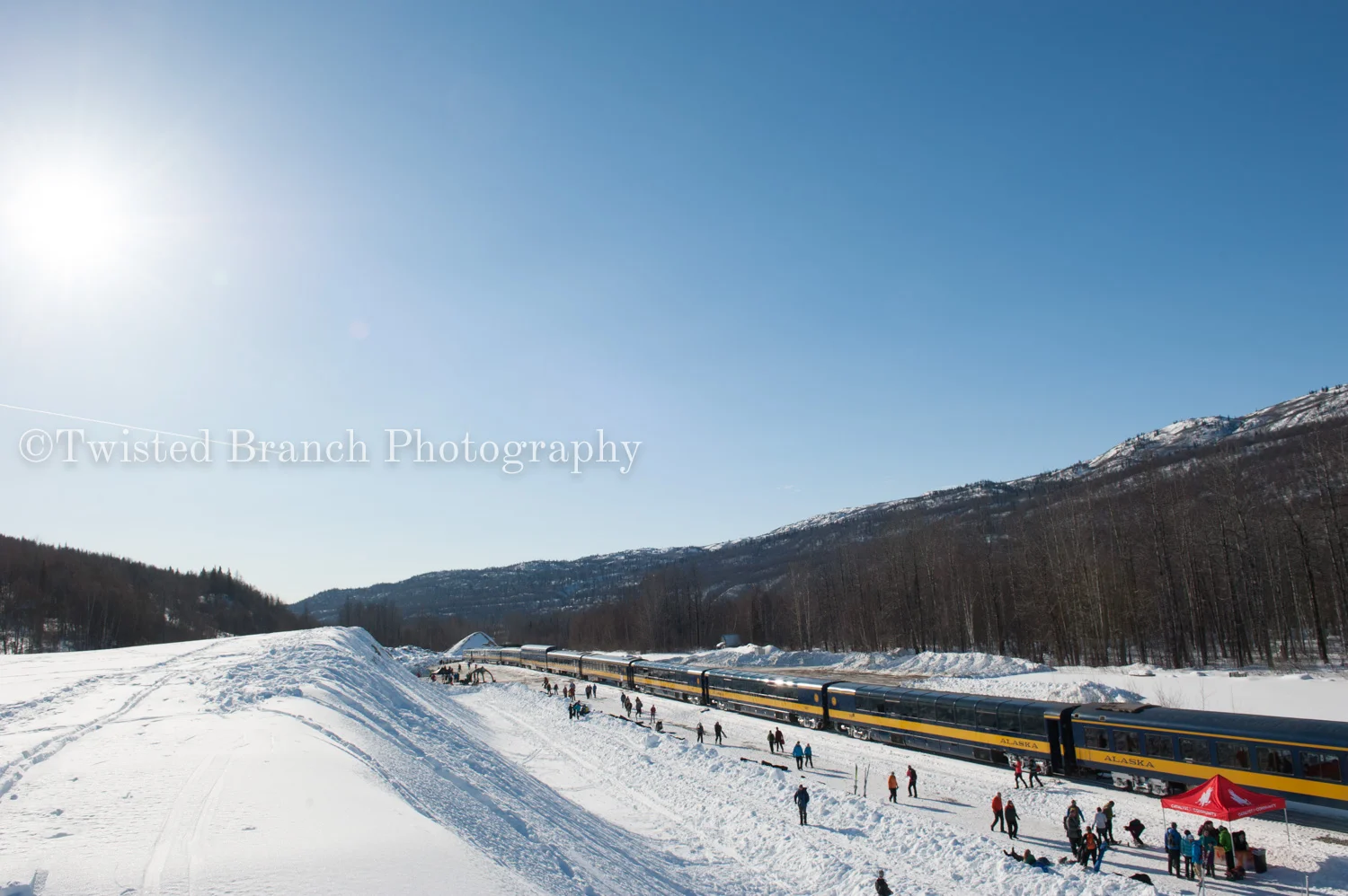71_Twisted_Branch_Photography_DSC_9898.jpg
