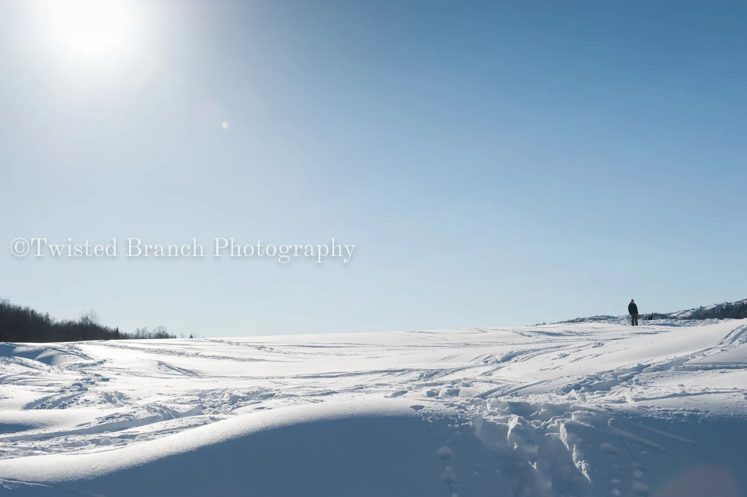 75_Twisted_Branch_Photography_DSC_9935.jpg